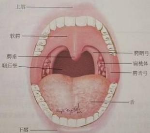 如何判断是否患有腺样体肥大?